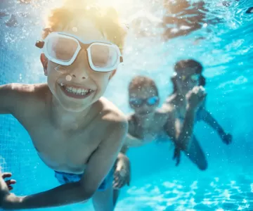 General Pool Information